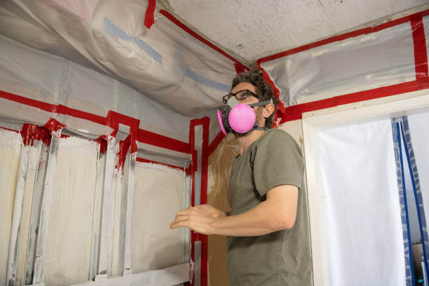 Best Commercial Mold Inspection  in Spiro, OK