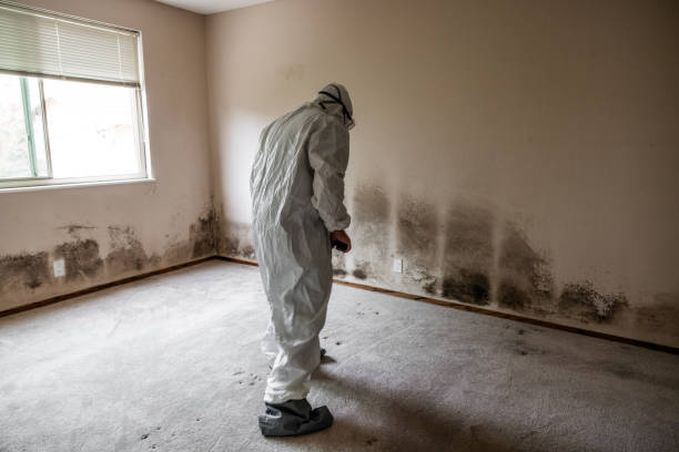 Best Asbestos and Lead Testing During Mold Inspection  in Spiro, OK